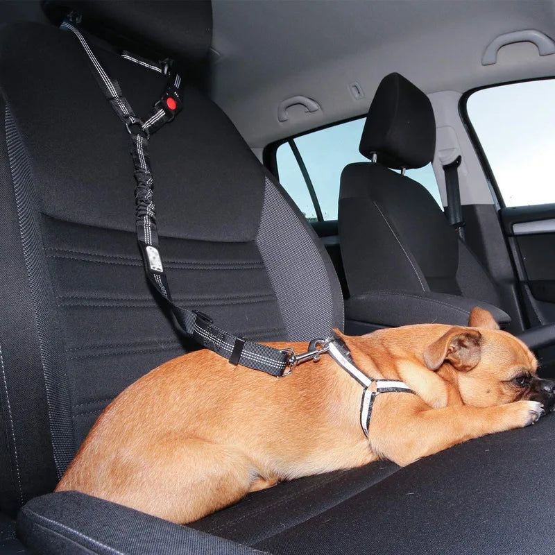 SafeDog™ | Autogordel Voor Honden